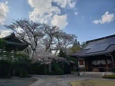 福蔵院(東京都)