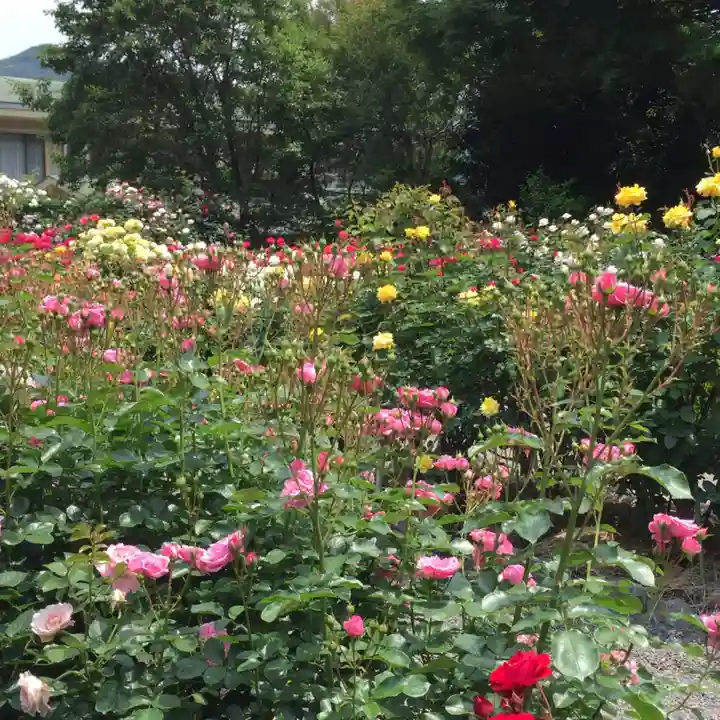 伊勢神宮内宮(皇大神宮)の自然