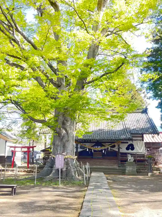 白鳥神社(長野県)