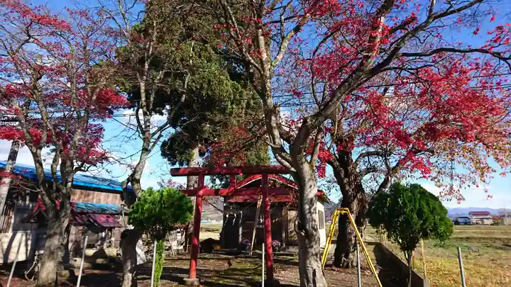 稲荷神社の自然