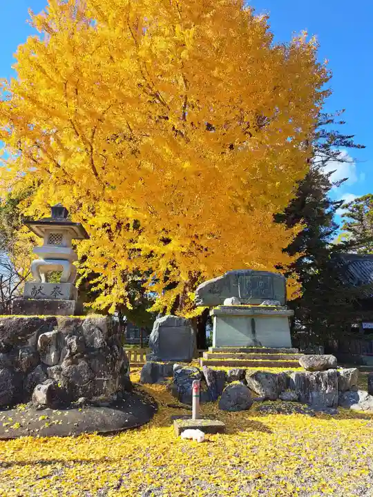 大御和神社(徳島県)