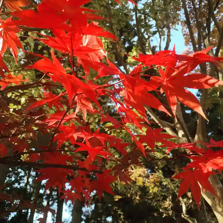 豊景神社の自然