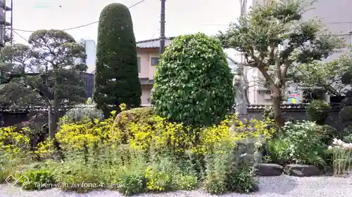 妙善寺の庭園