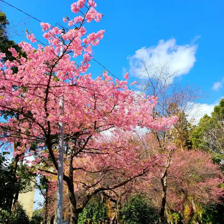 井伊谷宮(静岡県)