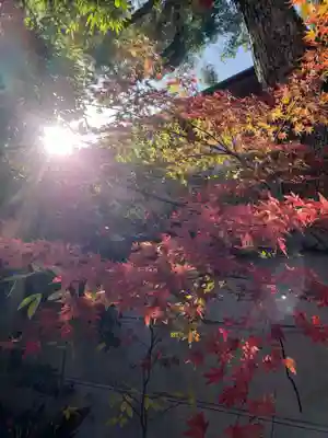 品川寺(東京都)