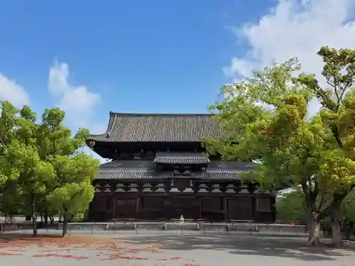 東寺（教王護国寺）の本殿・本堂