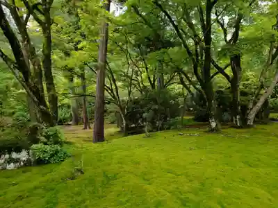 宝厳院(京都府)