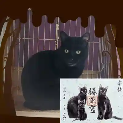 復刻版 勝軍官黒猫御朱印(令和5年)