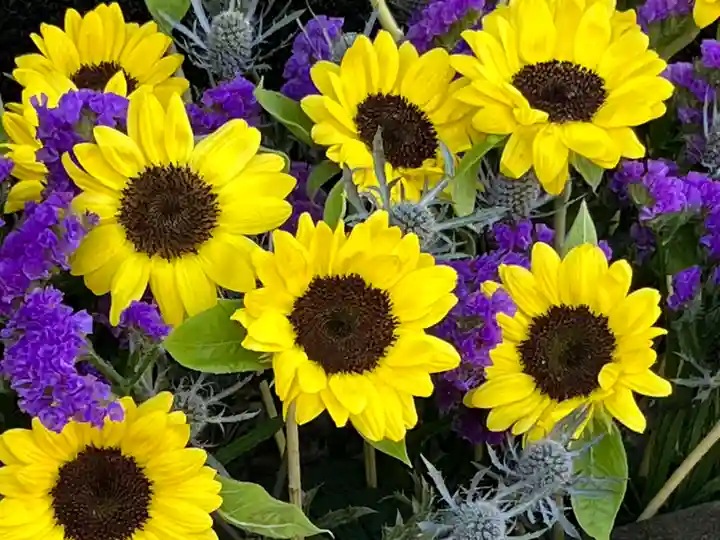 上尾御嶽神社の手水舎