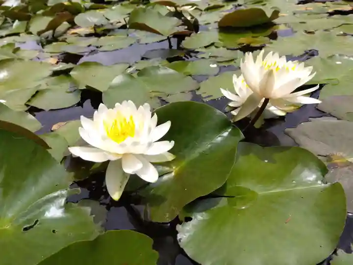 味真野神社(福井県)