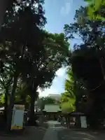 星川杉山神社(神奈川県)