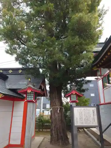 御嶽神社(埼玉県)