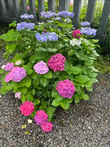 酒見神社(愛知県)