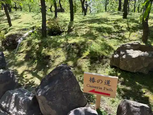 城南宮(京都府)