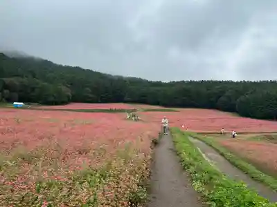 一宮神社(長野県)