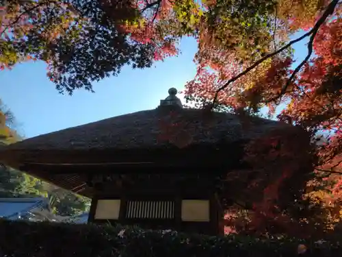 長壽寺（長寿寺）(神奈川県)