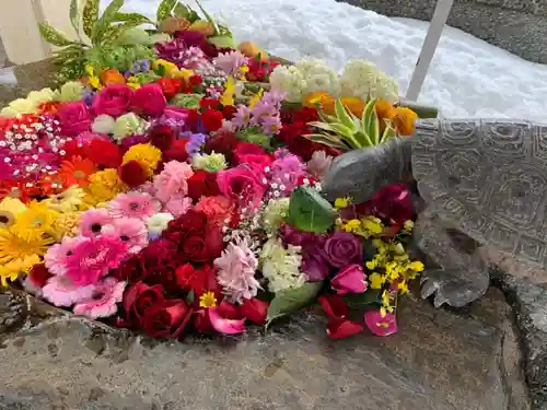 杉杜白髭神社の手水舎