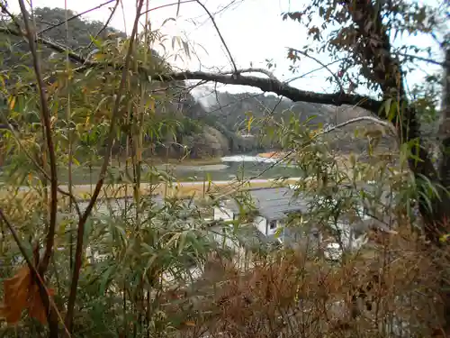 熊太郎神社の自然