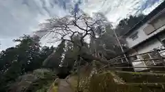 瀧蔵神社(奈良県)