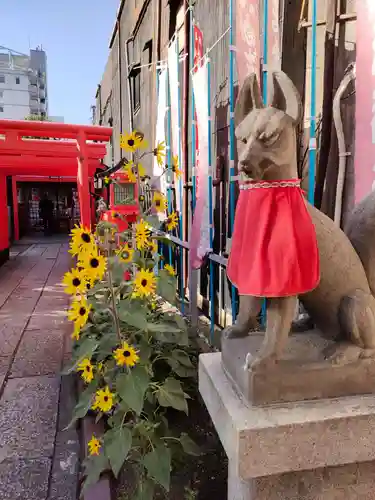 富士浅間神社の狛犬