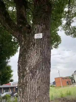 須賀神社（羽黒新田）(愛知県)