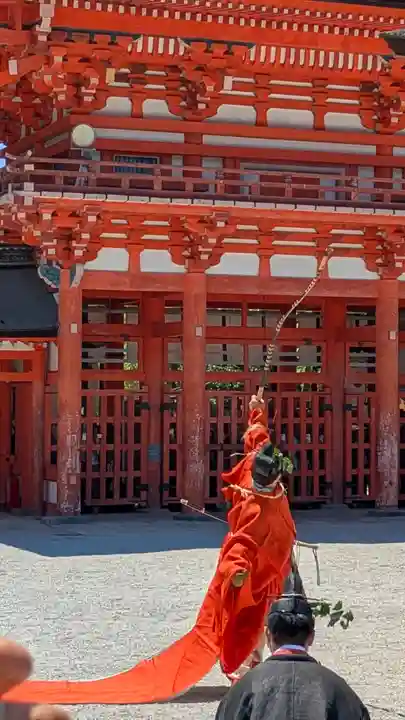 賀茂御祖神社(下鴨神社)(京都府)