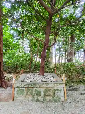 明星神社の自然
