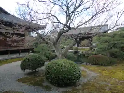 東寺（教王護国寺）(京都府)