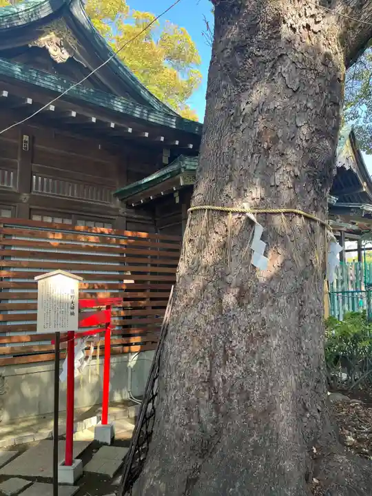 五方山熊野神社(東京都)