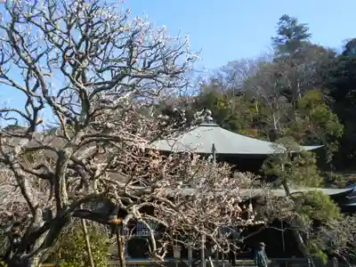 瑞泉寺のその他建物