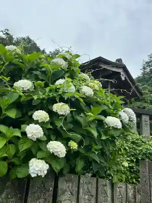 粟井神社(香川県)