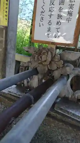 幡ケ谷氷川神社(東京都)