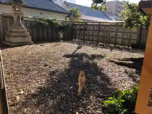大聖観音寺（あびこ観音）の動物