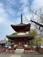 喜多院の{uncategorized: "未分類", other: "その他", undefined: "問題あり", building: "その他建物", grave: "お墓", sacred_gate: "鳥居", guardian: "狛犬", statue: "像", buddha: "仏像", history: "歴史", nature: "自然", garden: "庭園", animal: "動物", pagoda: "塔", temizu: "手水舎", mountain_gate: "山門・神門", sanctuary: "本殿・本堂", subordinate: "末社・摂社", art: "芸術", scenery: "景色", jizo: "地蔵", ema: "絵馬", goshuin: "御朱印", omikuji: "おみくじ", items: "授与品その他", amulet: "お守り", goshuincho: "御朱印帳", eats: "食事", festival: "お祭り", votive_dance: "神楽", shichigosan: "七五三参", wedding: "結婚式", experience: "体験その他", initially: "初詣", around: "周辺", anti_infection: "感染症対策"}