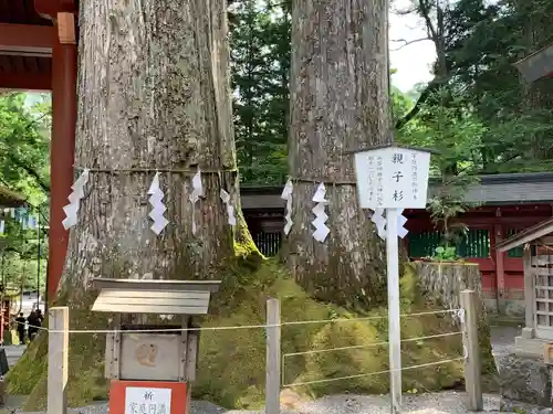 日光二荒山神社(栃木県)