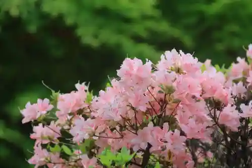 豊景神社の庭園