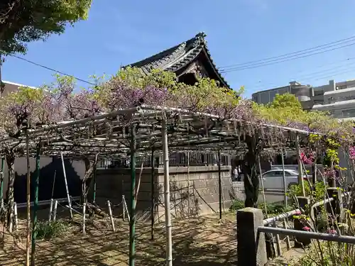 金蔵寺(神奈川県)
