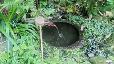 瑞泉寺(神奈川県)