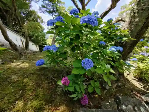 知恩院(京都府)