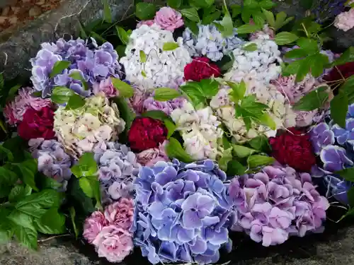 発寒神社の手水舎