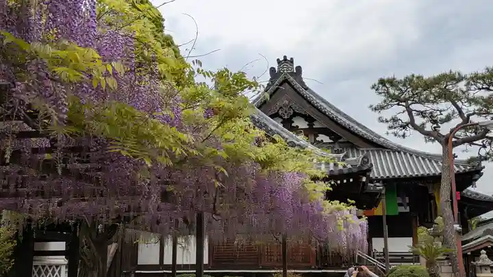 葛井寺(大阪府)