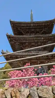 南法華寺（壷阪寺）(奈良県)