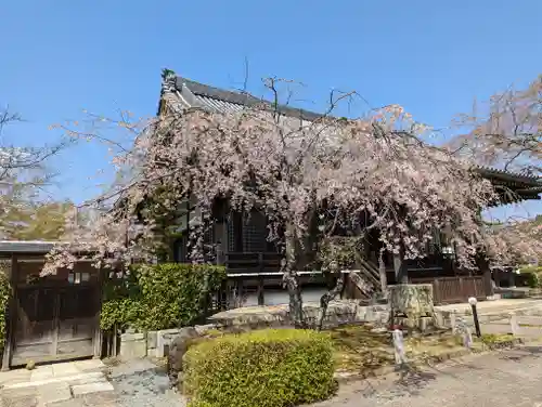 妙満寺(京都府)