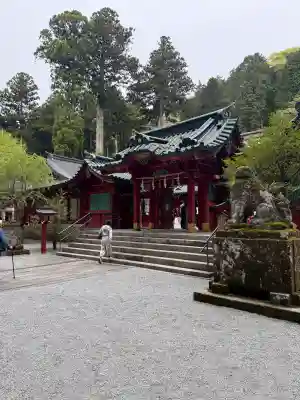 箱根神社の{uncategorized: "未分類", other: "その他", undefined: "問題あり", building: "その他建物", grave: "お墓", sacred_gate: "鳥居", guardian: "狛犬", statue: "像", buddha: "仏像", history: "歴史", nature: "自然", garden: "庭園", animal: "動物", pagoda: "塔", temizu: "手水舎", mountain_gate: "山門・神門", sanctuary: "本殿・本堂", subordinate: "末社・摂社", art: "芸術", scenery: "景色", jizo: "地蔵", ema: "絵馬", goshuin: "御朱印", omikuji: "おみくじ", items: "授与品その他", amulet: "お守り", goshuincho: "御朱印帳", eats: "食事", festival: "お祭り", votive_dance: "神楽", shichigosan: "七五三参", wedding: "結婚式", experience: "体験その他", initially: "初詣", around: "周辺", anti_infection: "感染症対策"}