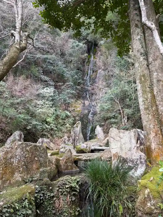 三瀧寺の{uncategorized: "未分類", other: "その他", undefined: "問題あり", building: "その他建物", grave: "お墓", sacred_gate: "鳥居", guardian: "狛犬", statue: "像", buddha: "仏像", history: "歴史", nature: "自然", garden: "庭園", animal: "動物", pagoda: "塔", temizu: "手水舎", mountain_gate: "山門・神門", sanctuary: "本殿・本堂", subordinate: "末社・摂社", art: "芸術", scenery: "景色", jizo: "地蔵", ema: "絵馬", goshuin: "御朱印", omikuji: "おみくじ", items: "授与品その他", amulet: "お守り", goshuincho: "御朱印帳", eats: "食事", festival: "お祭り", votive_dance: "神楽", shichigosan: "七五三参", wedding: "結婚式", experience: "体験その他", initially: "初詣", around: "周辺", anti_infection: "感染症対策"}