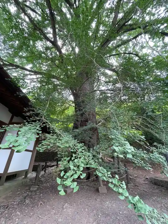 来迎院(奈良県)