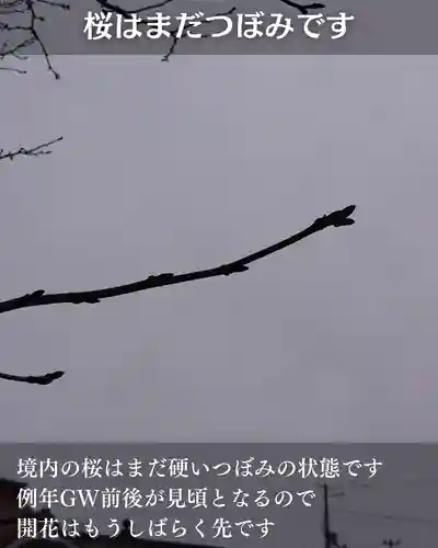 宝光寺(北海道)