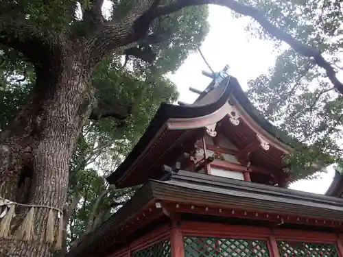 生根神社の本殿