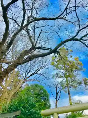 三所神社の自然