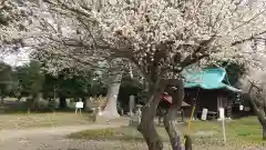 酒門神社(茨城県)